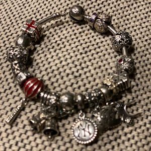 My Pandora Charm Bracelet